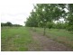 210 Benauds Road, Bora Ridge NSW 2471