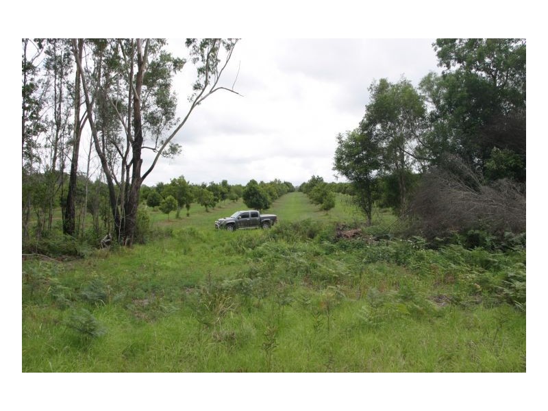 210 Benauds Road, Bora Ridge NSW 2471