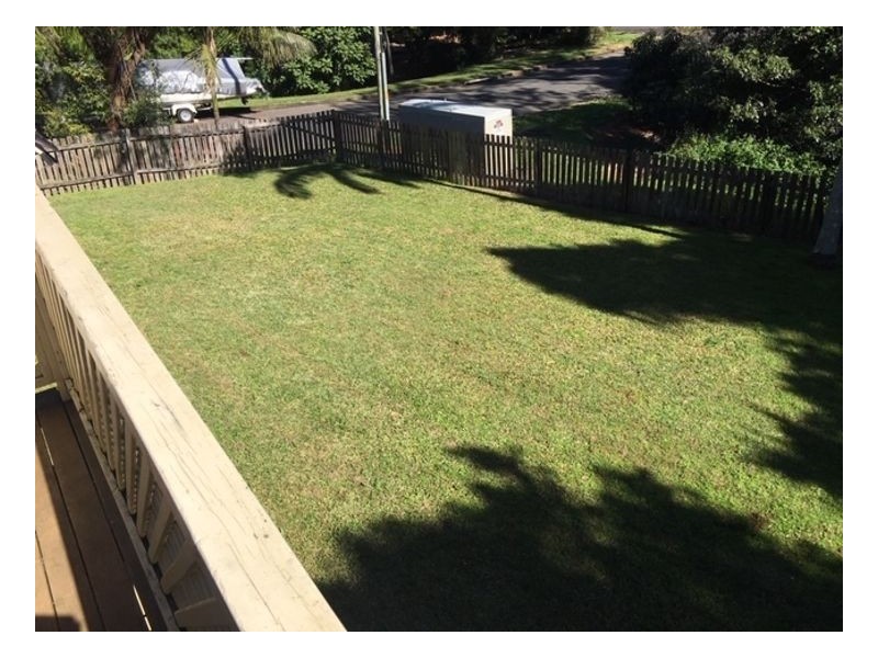 49 Pindari Crescent, Goonellabah NSW 2480