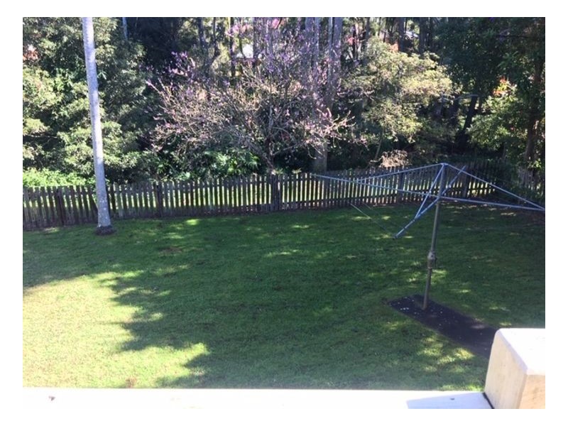 49 Pindari Crescent, Goonellabah NSW 2480