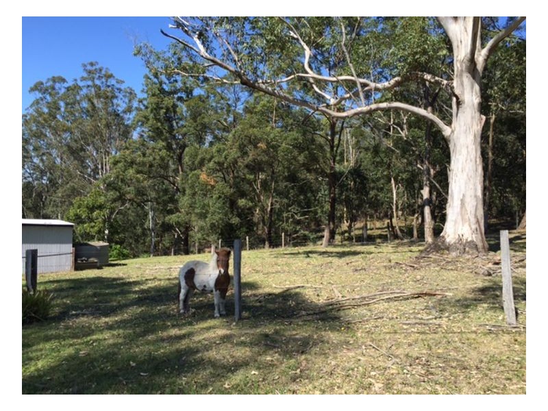 199 Borton Road, Tullera NSW 2480