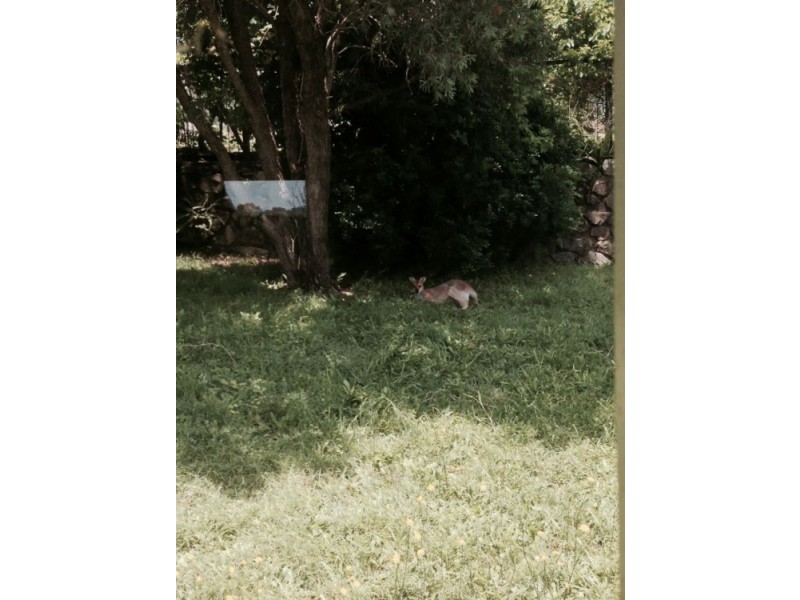 2/11 Alfred Place, Goonellabah NSW 2480