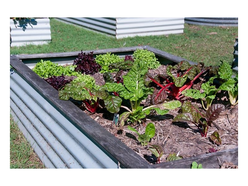 1438 Dyraaba Road, Casino NSW 2470