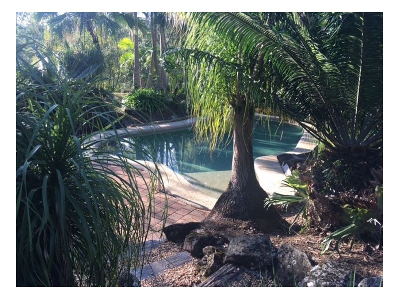 242 Chelmsford Road, Rock Valley NSW 2480