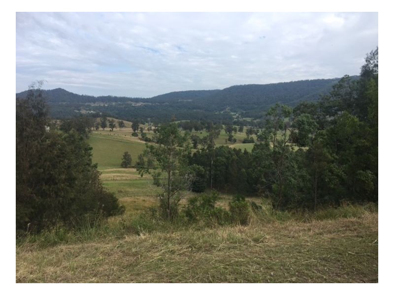 242 Chelmsford Road, Rock Valley NSW 2480