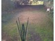81 Conway Street, Lismore NSW 2480