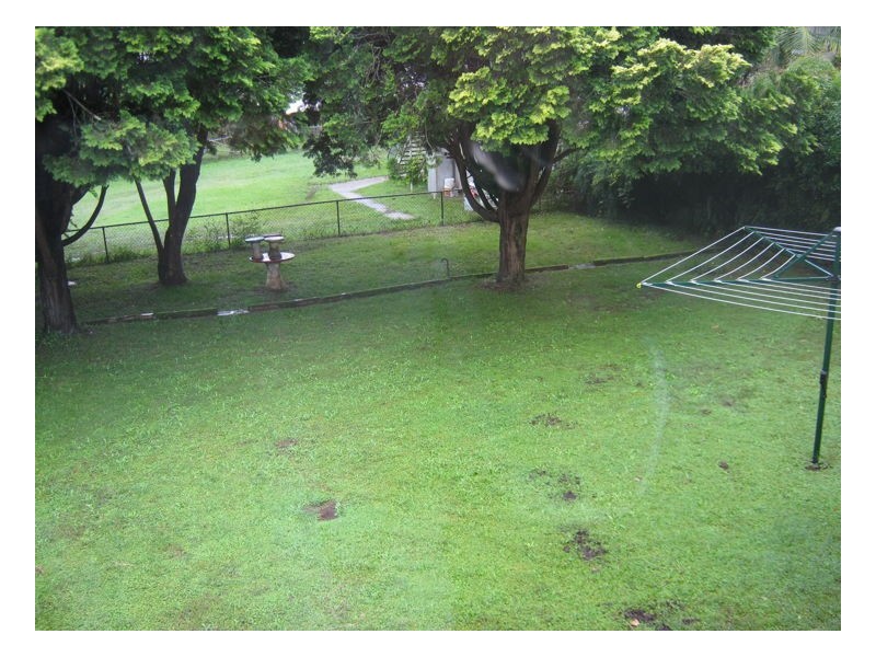 82 Avondale Avenue, East Lismore NSW 2480