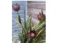 78A Invercauld Rd, Goonellabah NSW 2480