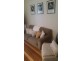 78A Invercauld Rd, Goonellabah NSW 2480