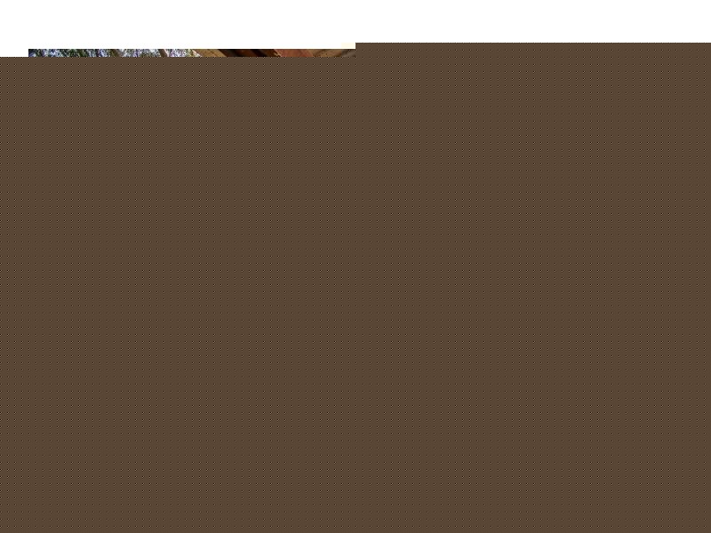 35 Duke Street, Goonellabah NSW 2480