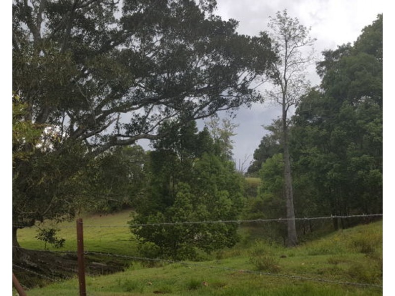 945B Boyle Road, Coffee Camp NSW 2480