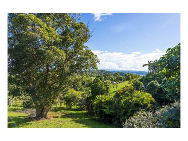 35 Funnell Drive, Modanville NSW 2480