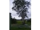 45 Figtree Lane, Mckees Hill NSW 2480