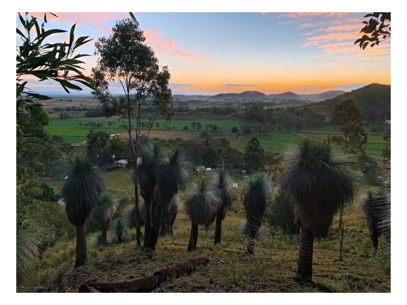 Lot 5 40 Chitticks Access Road, Caniaba NSW 2480