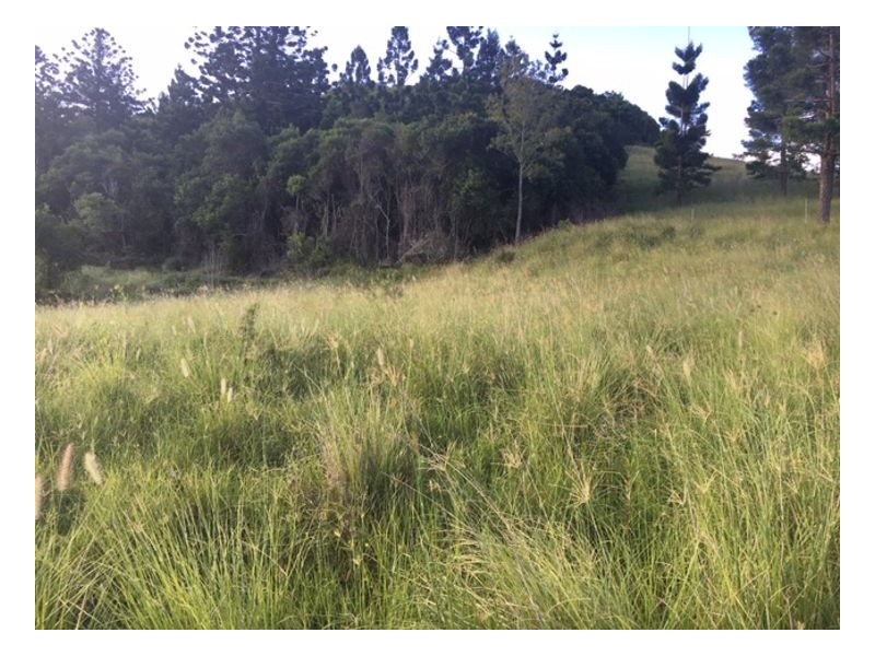 Lot 5 40 Chitticks Access Road, Caniaba NSW 2480