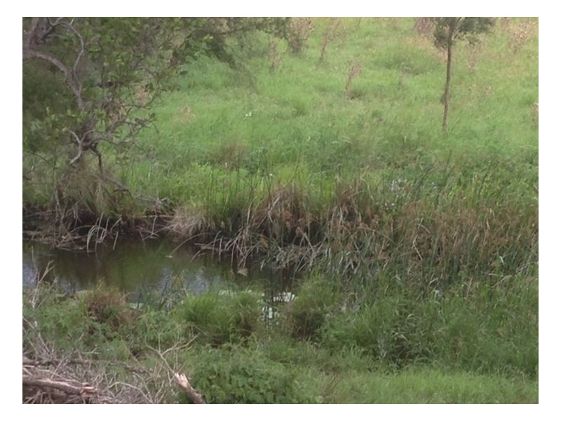 Lot 5 40 Chitticks Access Road, Caniaba NSW 2480