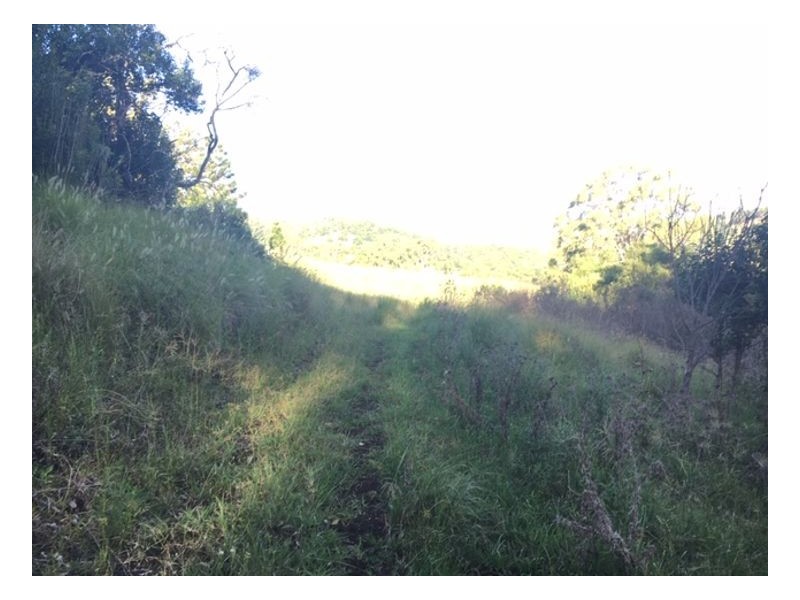 Lot 5 40 Chitticks Access Road, Caniaba NSW 2480
