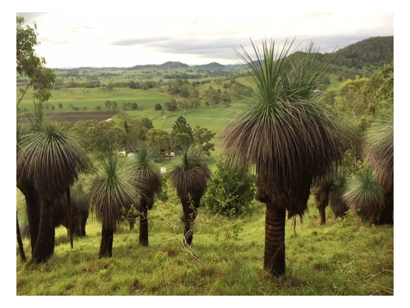 Lot 5 40 Chitticks Access Road, Caniaba NSW 2480