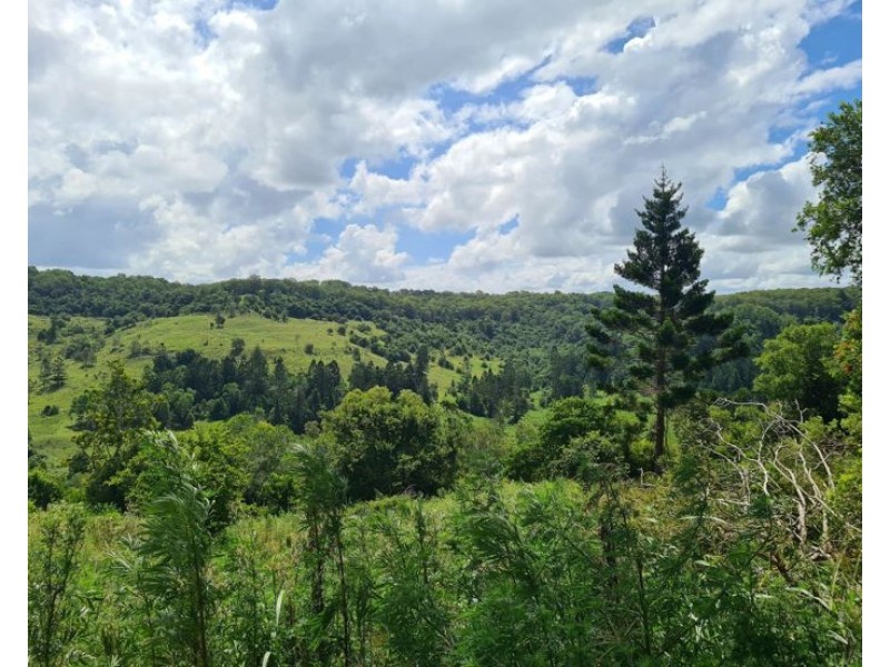 264 Booerie Creek, Booerie Creek NSW 2480