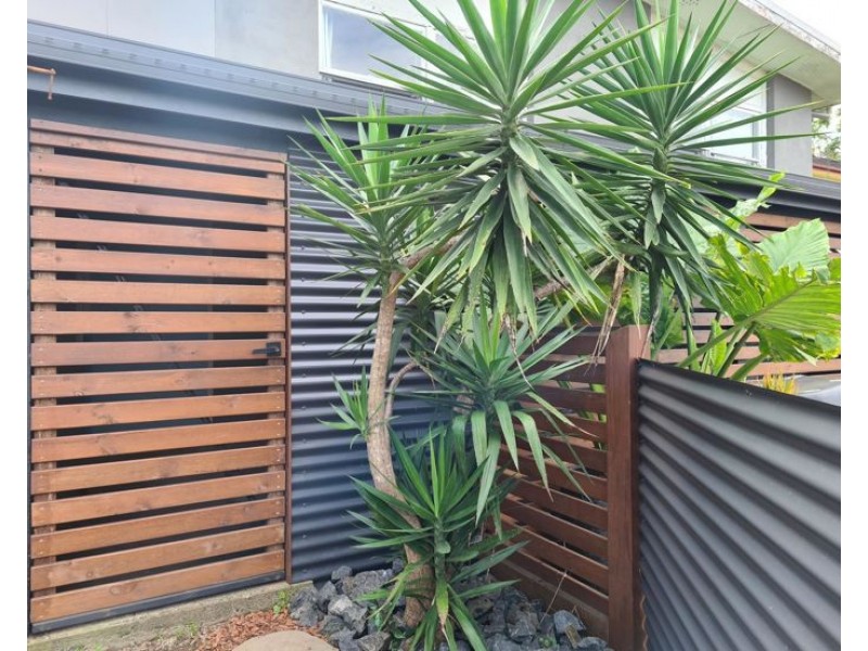 KELLAS ST, Lismore NSW 2480