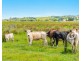 104 Gundurimba Rd, Lismore NSW 2480
