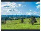 147 Rosebank Road, Rosebank NSW 2480