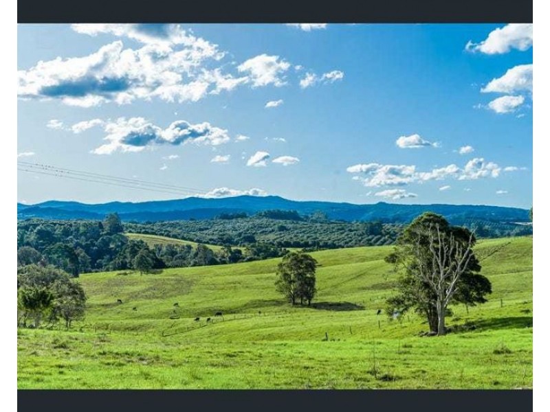 147 Rosebank Road, Rosebank NSW 2480