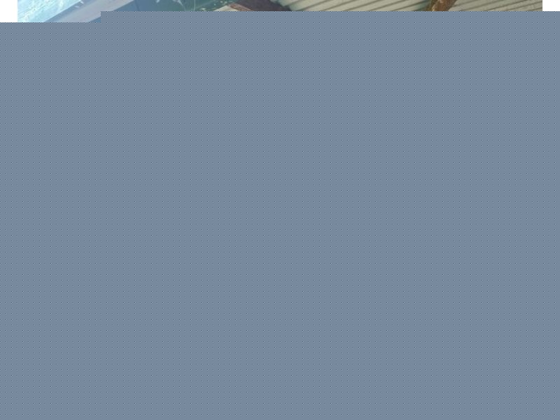 527 Tregeagle Rd, Tregeagle NSW 2480