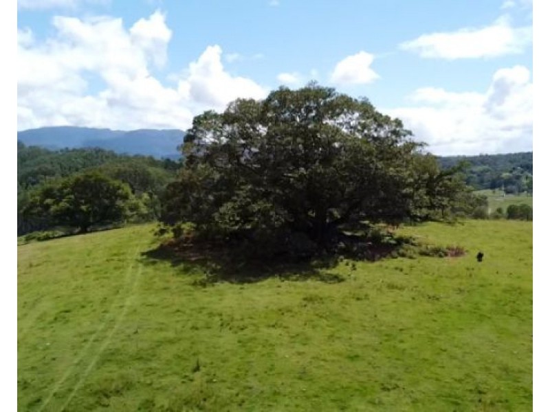 Lot 4 Oxbow Road, Cawongla NSW 2474