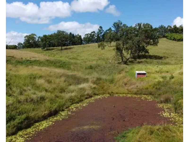 Lot 4 Oxbow Road, Cawongla NSW 2474