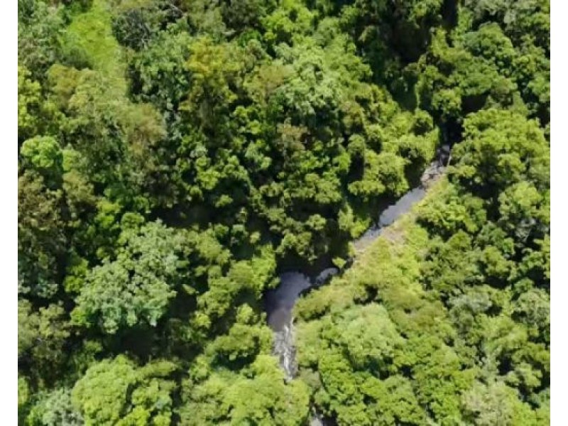 Lot 4 Oxbow Road, Cawongla NSW 2474