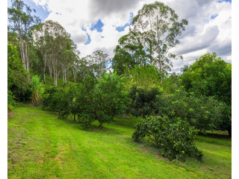 658 Caniaba Rd, Caniaba NSW 2480
