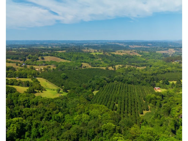 80 Lizray Road, Federal NSW 2480