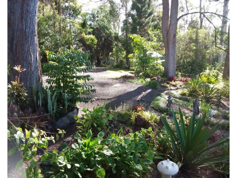 62 Shipway Road, Nimbin NSW 2480