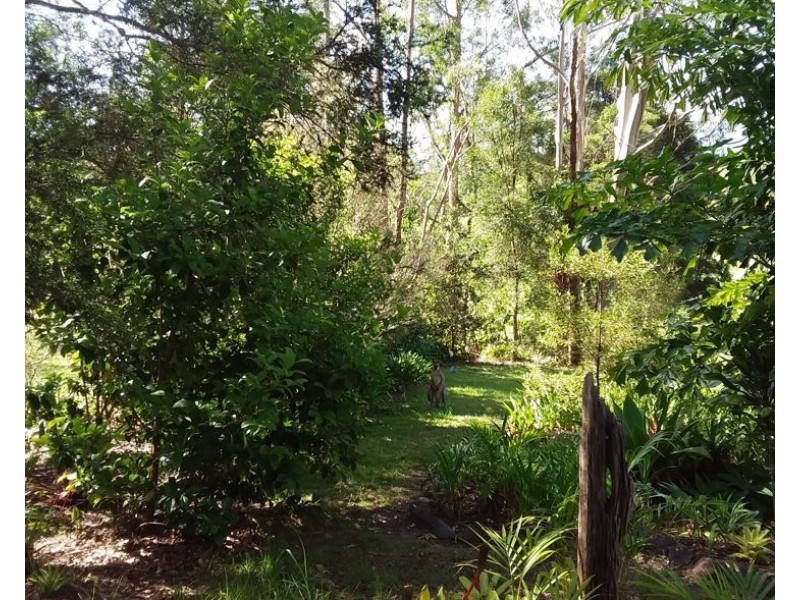62 Shipway Road, Nimbin NSW 2480