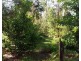 62 Shipway Road, Nimbin NSW 2480