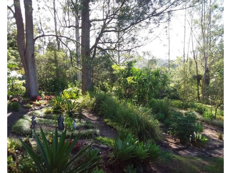 62 Shipway Road, Nimbin NSW 2480