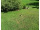 62 Shipway Road, Nimbin NSW 2480