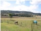 Spring Grove NSW 2470