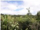 Blue Knob NSW 2480