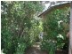 Blue Knob NSW 2480
