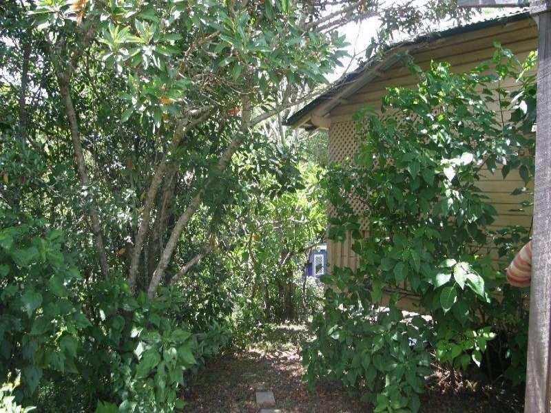 Blue Knob NSW 2480