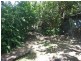 Blue Knob NSW 2480