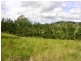 Caniaba NSW 2480