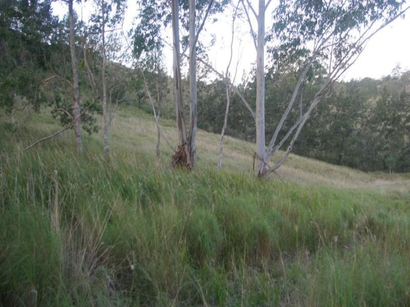 Caniaba NSW 2480