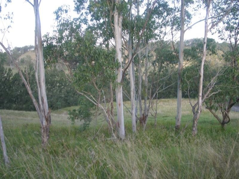 Caniaba NSW 2480