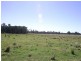 Tuckurimba NSW 2480