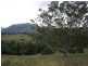 Nimbin NSW 2480