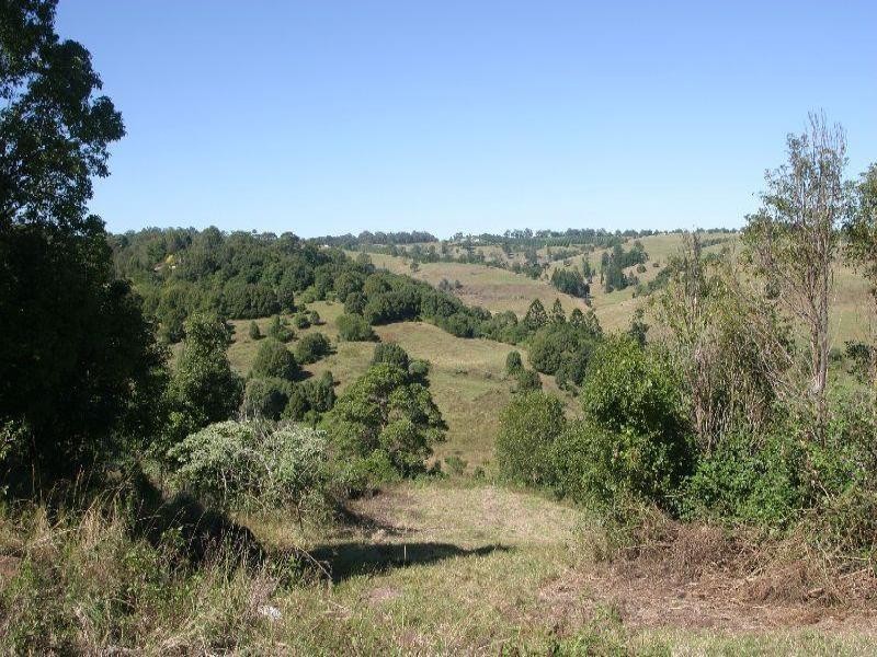 Richmond Hill NSW 2480