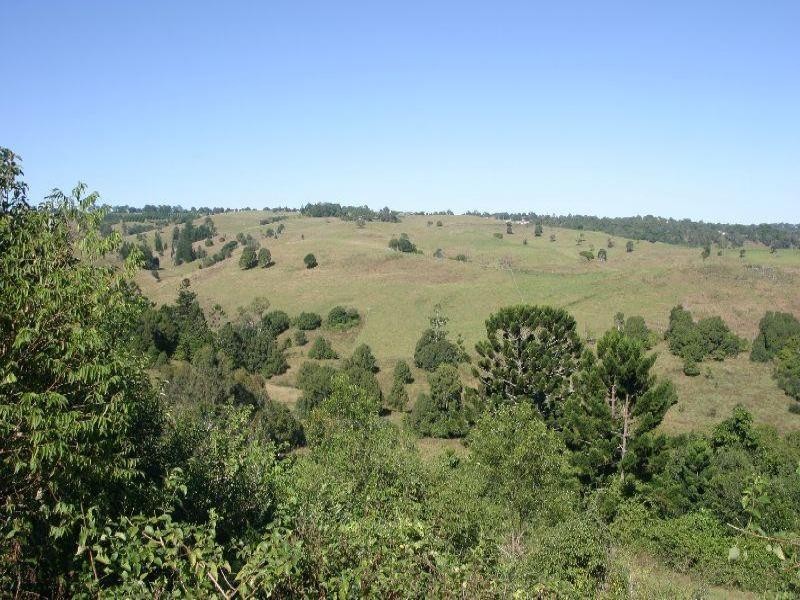 Richmond Hill NSW 2480